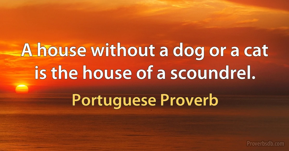 A house without a dog or a cat is the house of a scoundrel. (Portuguese Proverb)