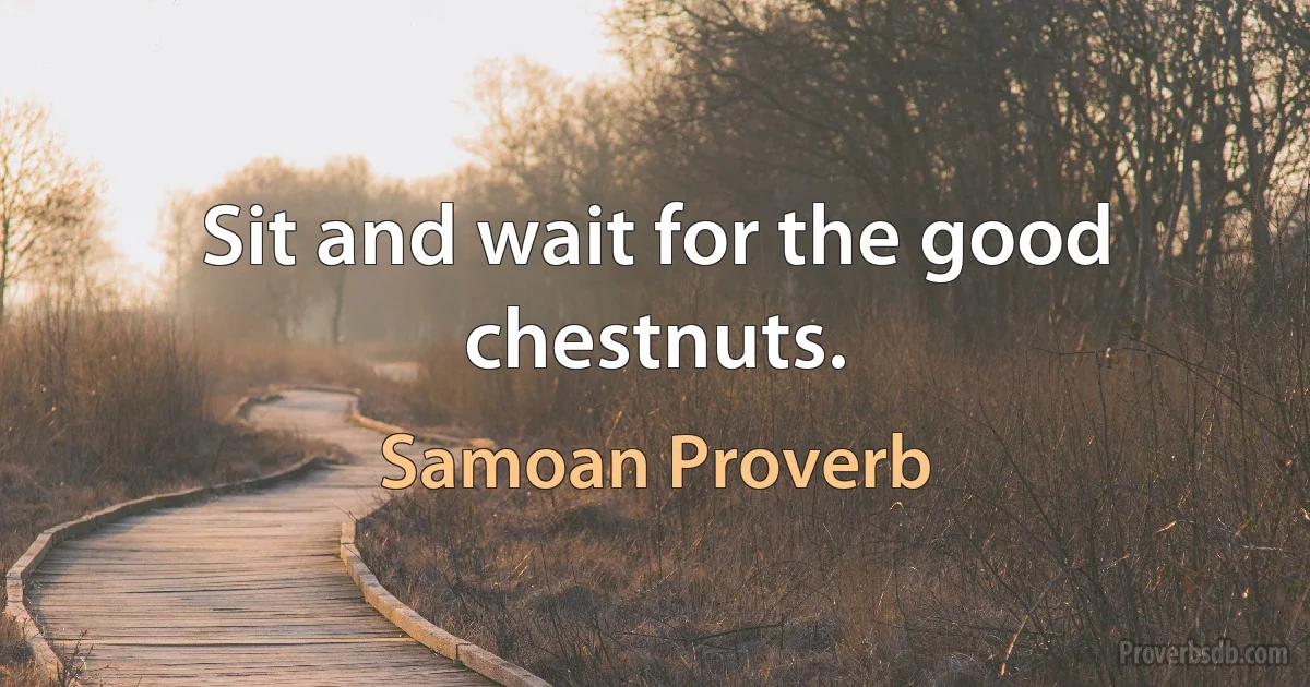 Sit and wait for the good chestnuts. (Samoan Proverb)