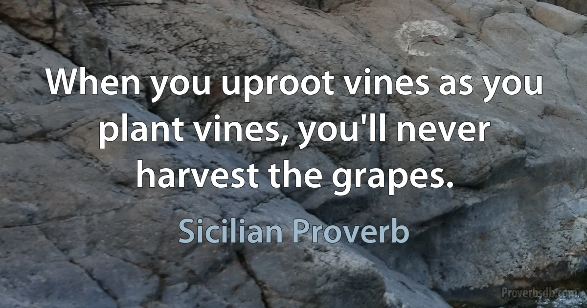 When you uproot vines as you plant vines, you'll never harvest the grapes. (Sicilian Proverb)