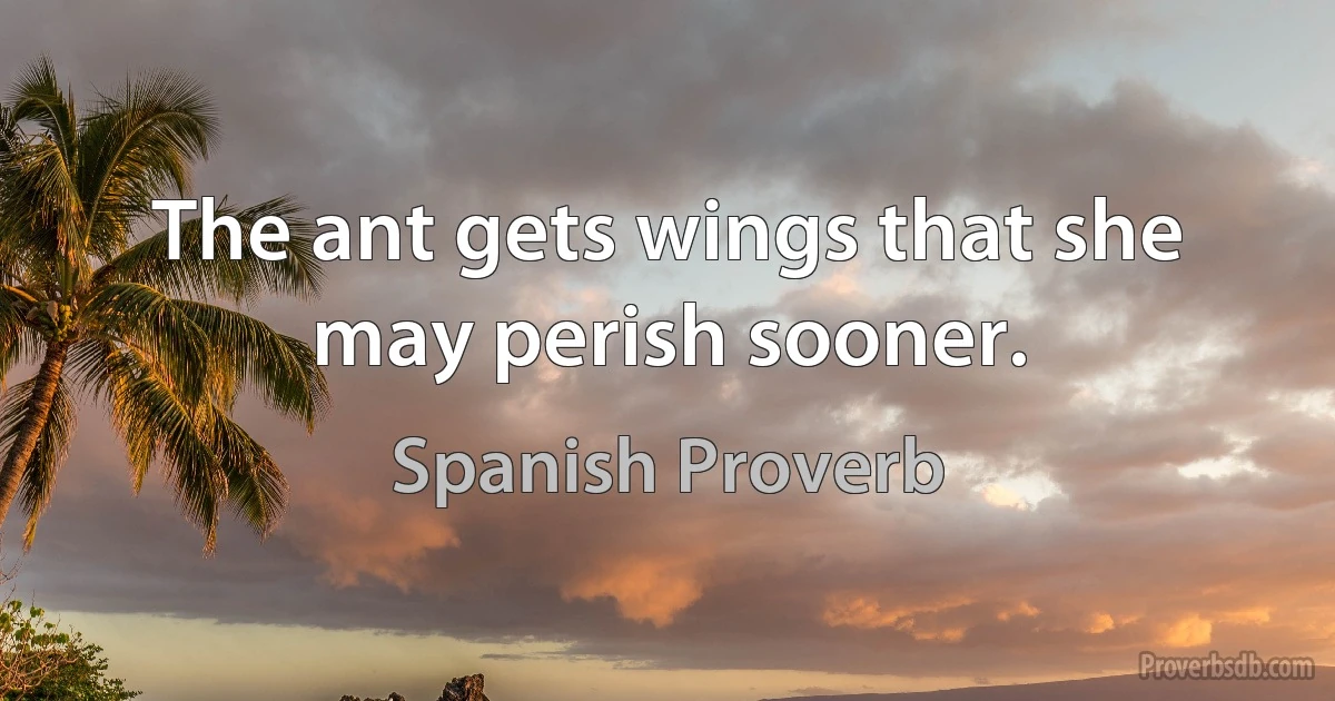 The ant gets wings that she may perish sooner. (Spanish Proverb)