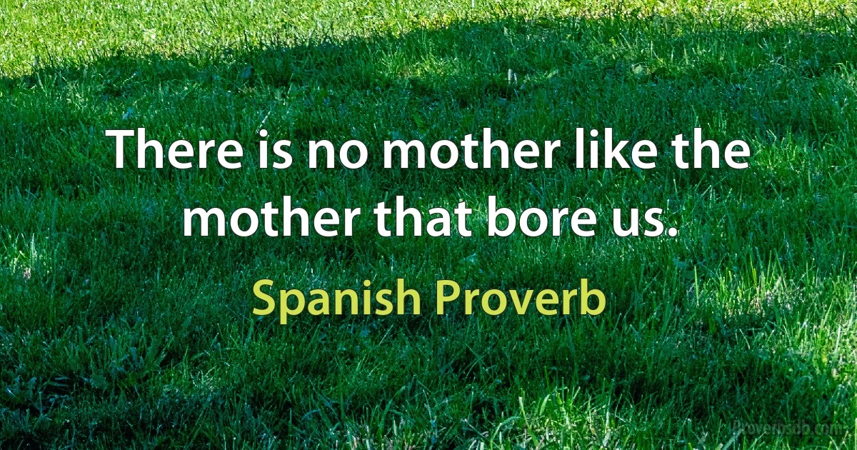 There is no mother like the mother that bore us. (Spanish Proverb)