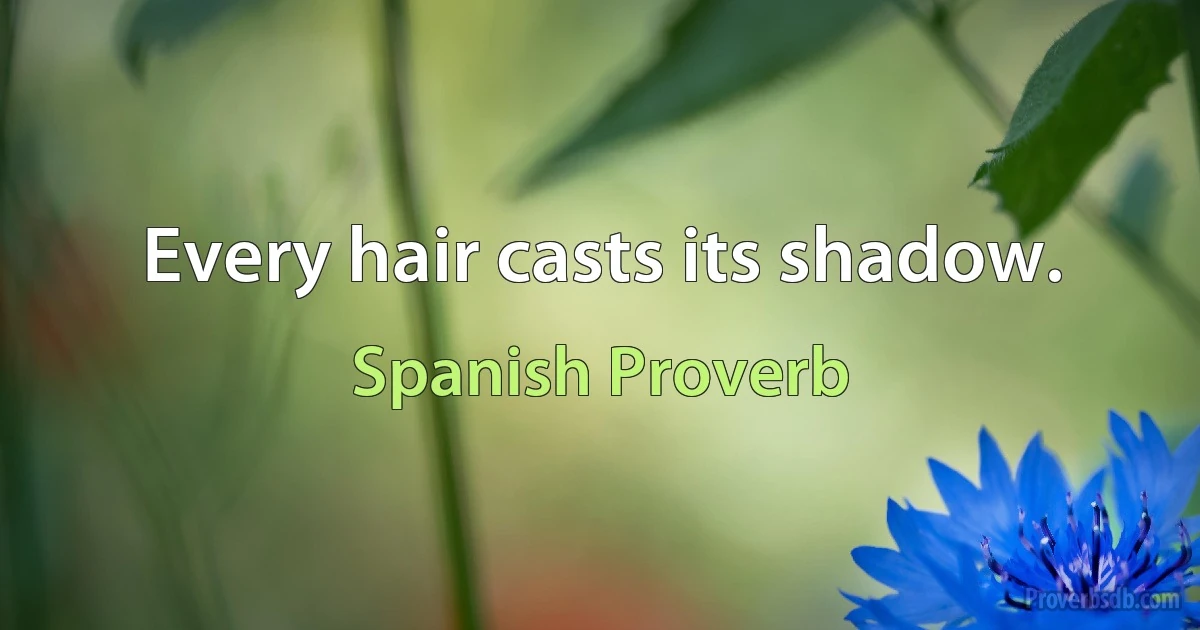 Every hair casts its shadow. (Spanish Proverb)