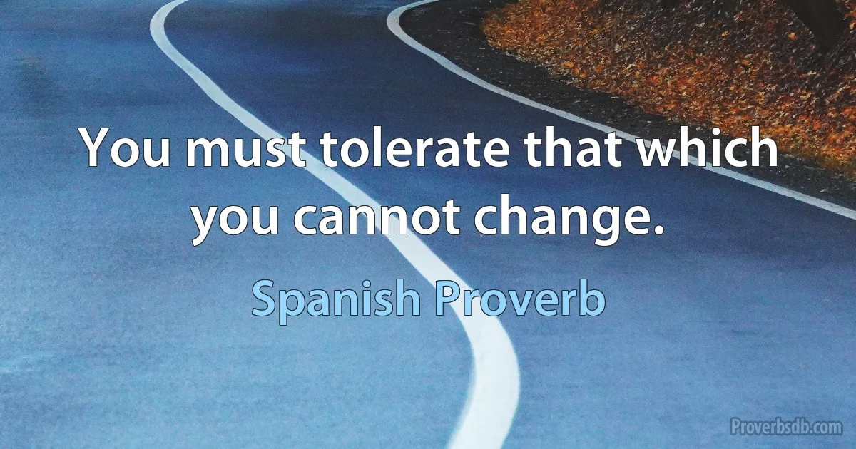 You must tolerate that which you cannot change. (Spanish Proverb)