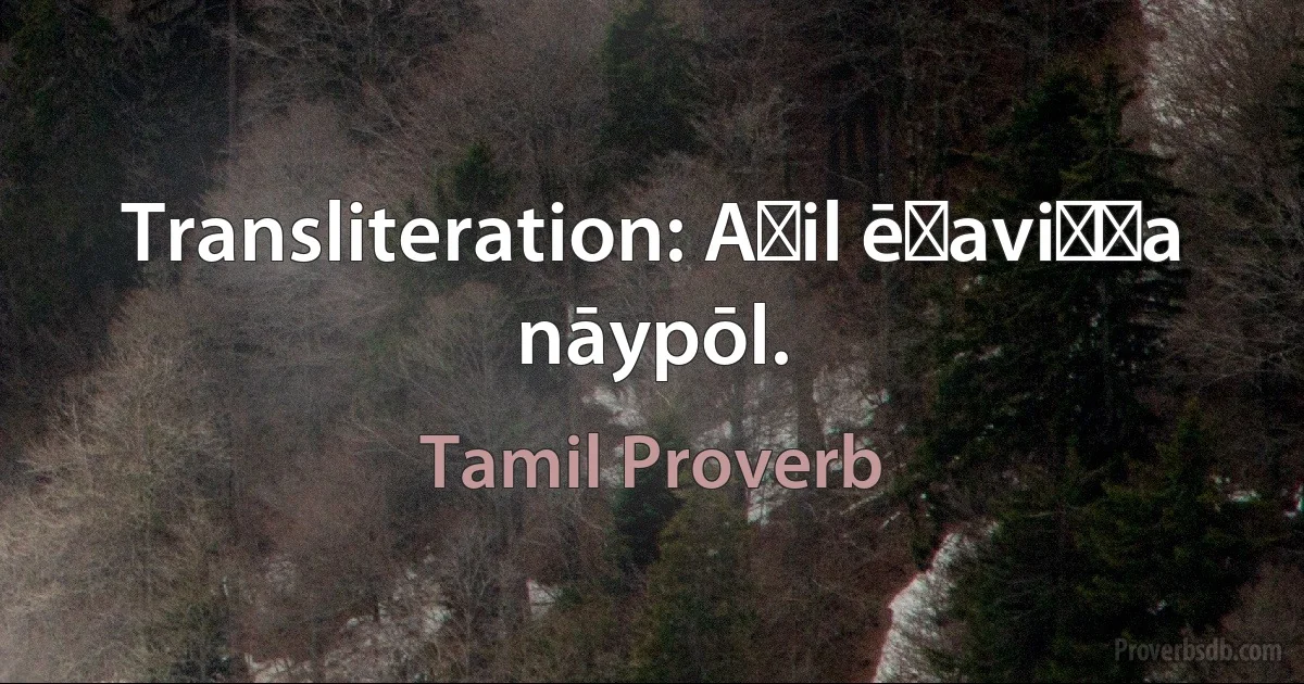 Transliteration: Aṇil ēṟaviṭṭa nāypōl. (Tamil Proverb)