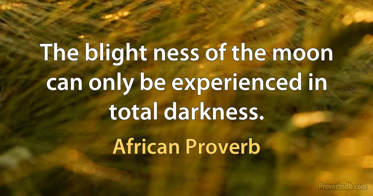 The blight ness of the moon can only be experienced in total darkness. (African Proverb)