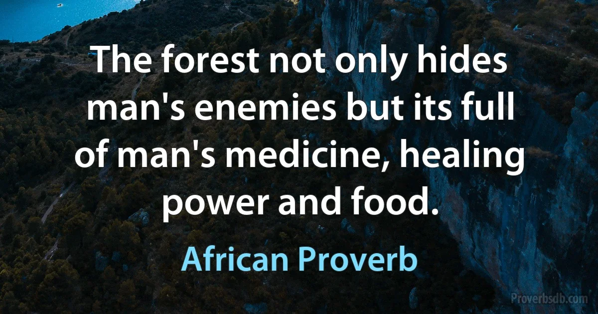 The forest not only hides man's enemies but its full of man's medicine, healing power and food. (African Proverb)