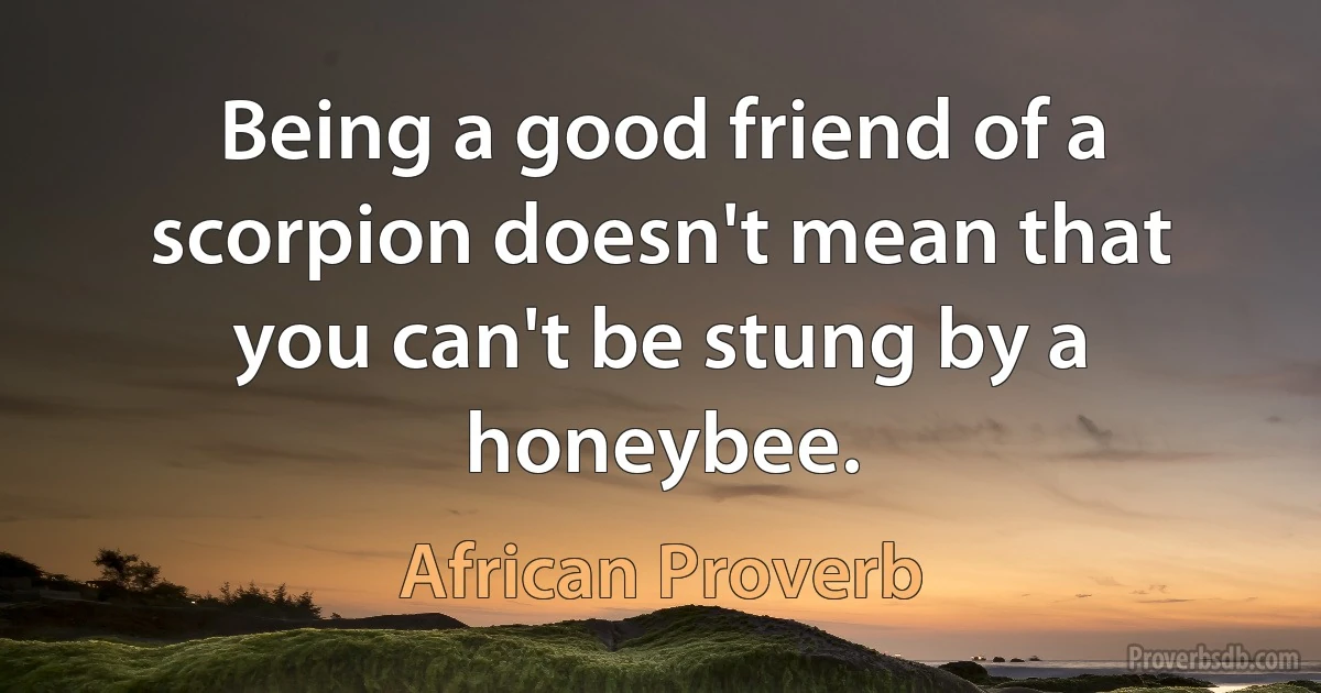 Being a good friend of a scorpion doesn't mean that you can't be stung by a honeybee. (African Proverb)