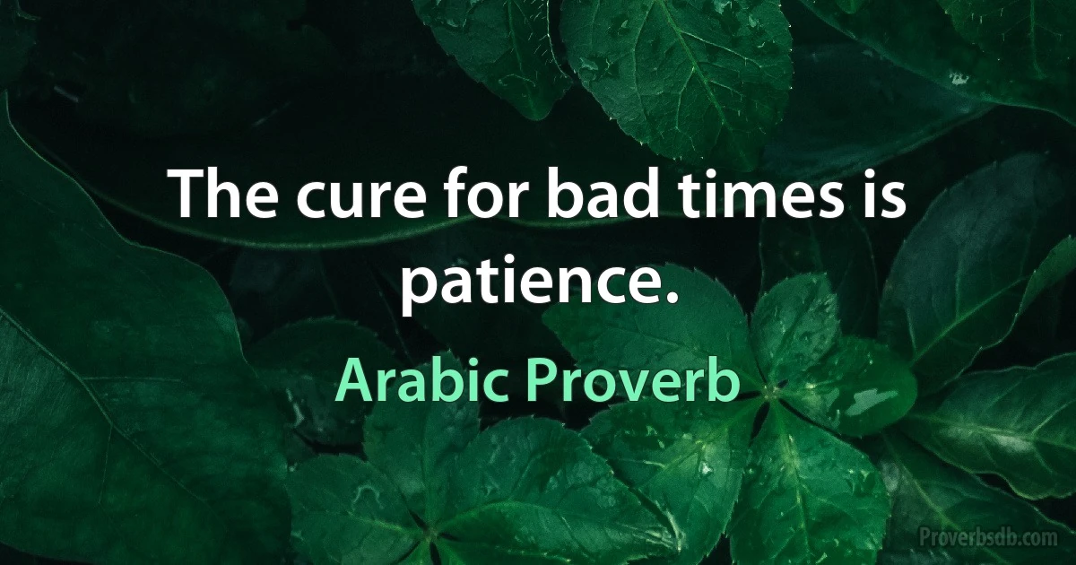 The cure for bad times is patience. (Arabic Proverb)