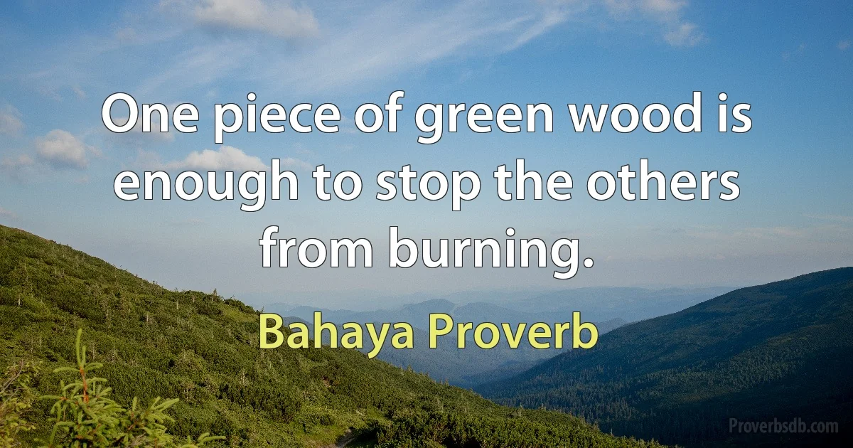 One piece of green wood is enough to stop the others from burning. (Bahaya Proverb)