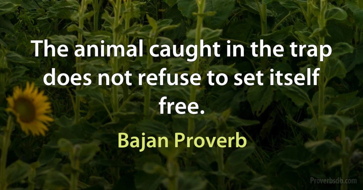 The animal caught in the trap does not refuse to set itself free. (Bajan Proverb)