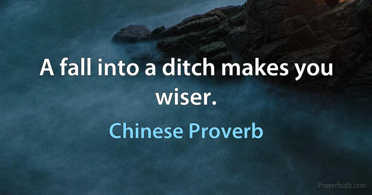 A fall into a ditch makes you wiser. (Chinese Proverb)