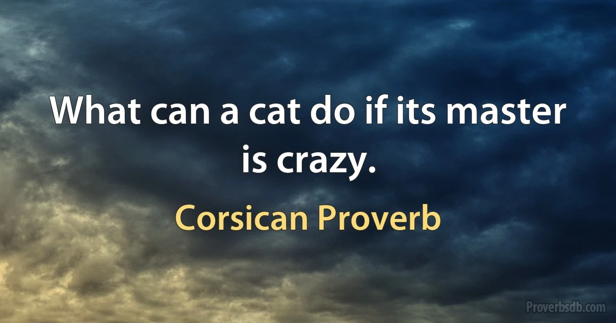 What can a cat do if its master is crazy. (Corsican Proverb)