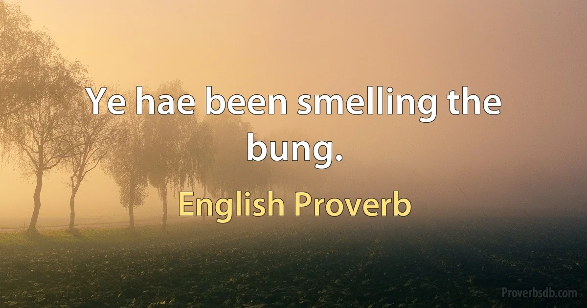 Ye hae been smelling the bung. (English Proverb)