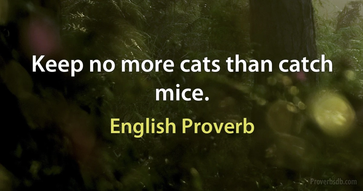 Keep no more cats than catch mice. (English Proverb)