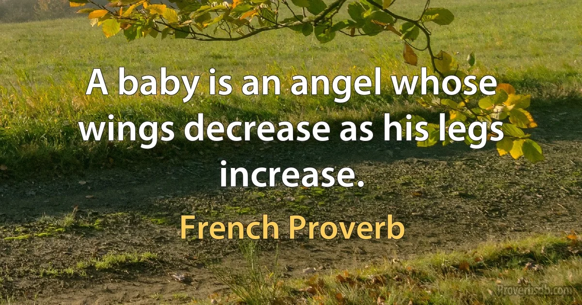 A baby is an angel whose wings decrease as his legs increase. (French Proverb)