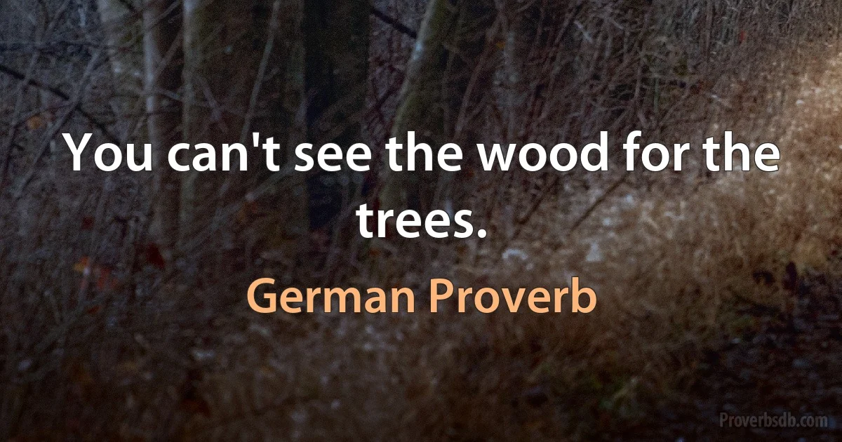 You can't see the wood for the trees. (German Proverb)