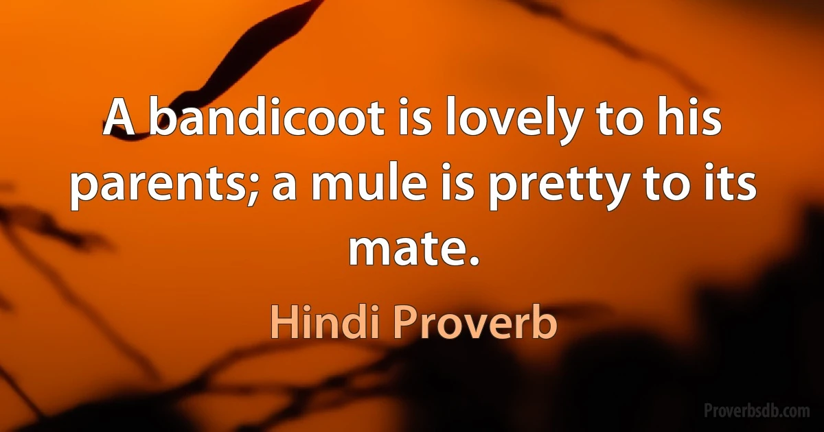 A bandicoot is lovely to his parents; a mule is pretty to its mate. (Hindi Proverb)