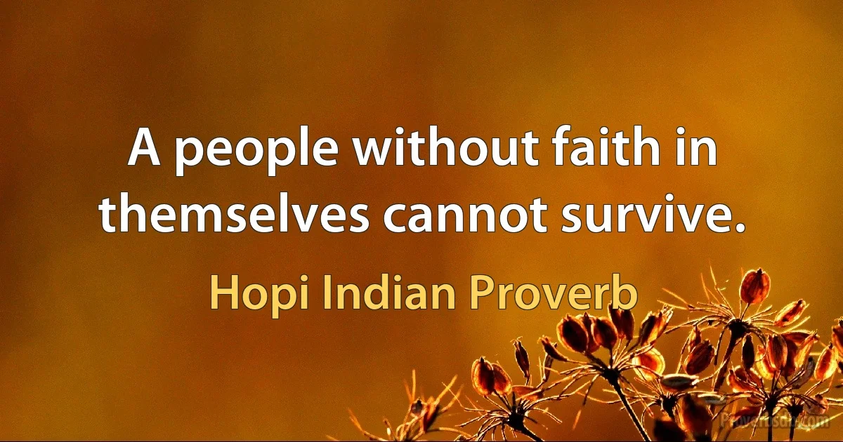 A people without faith in themselves cannot survive. (Hopi Indian Proverb)