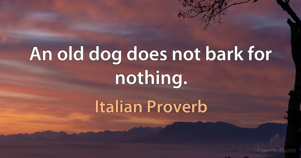 An old dog does not bark for nothing. (Italian Proverb)