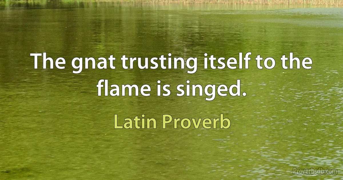 The gnat trusting itself to the flame is singed. (Latin Proverb)