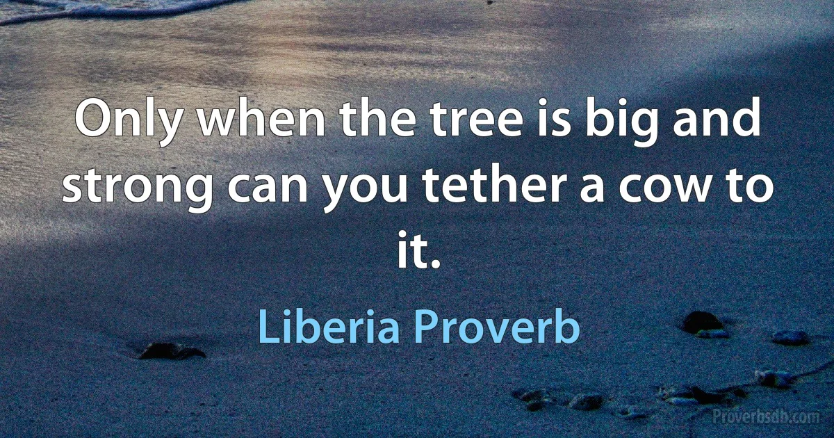 Only when the tree is big and strong can you tether a cow to it. (Liberia Proverb)