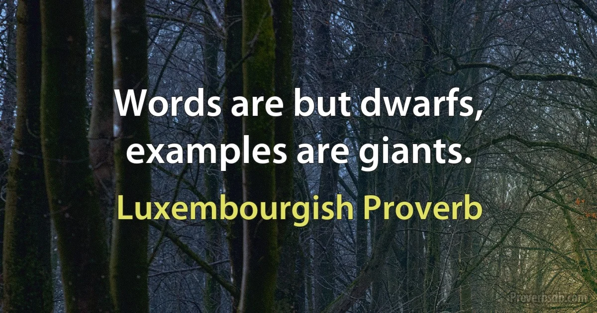 Words are but dwarfs, examples are giants. (Luxembourgish Proverb)