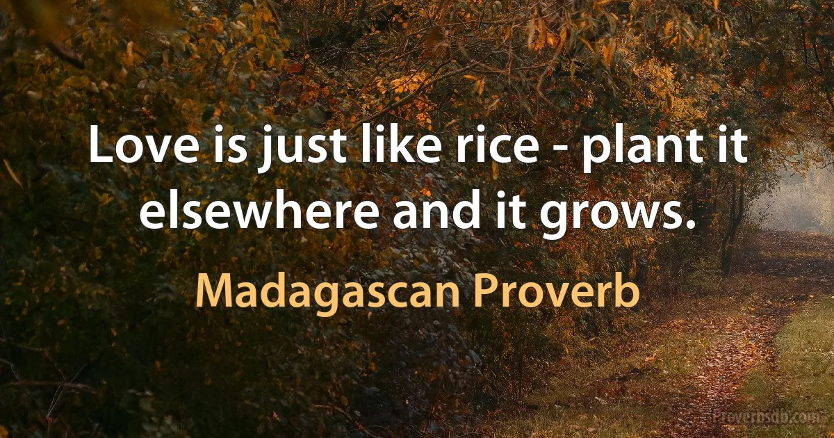 Love is just like rice - plant it elsewhere and it grows. (Madagascan Proverb)