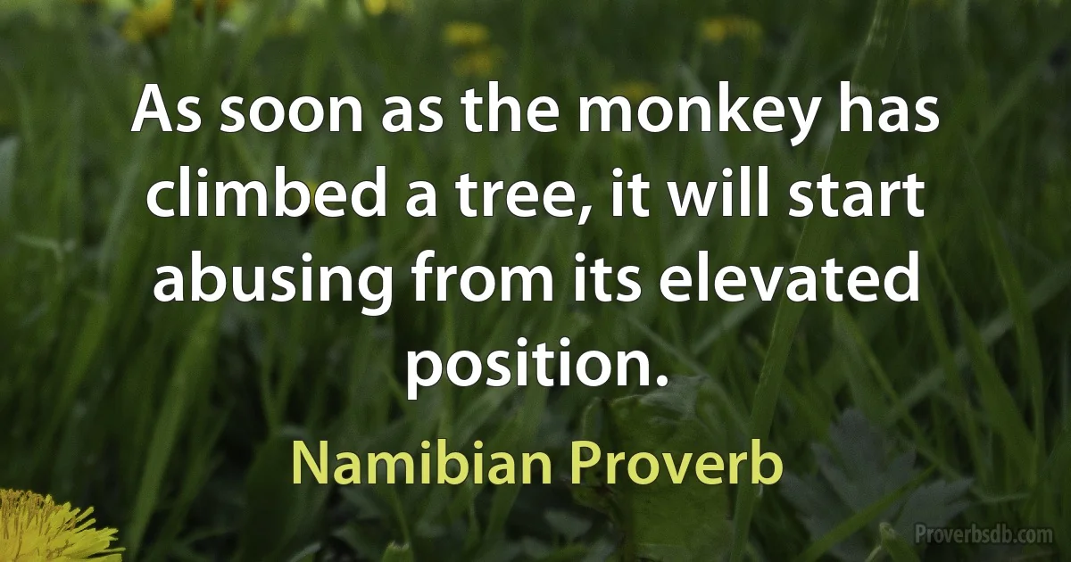 As soon as the monkey has climbed a tree, it will start abusing from its elevated position. (Namibian Proverb)