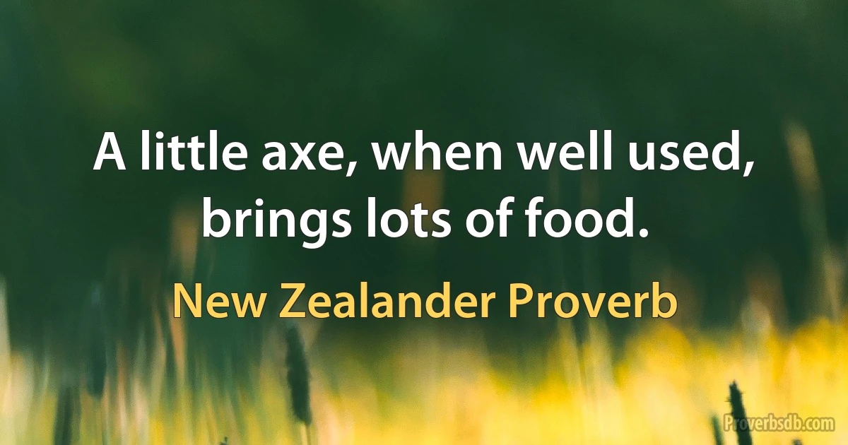 A little axe, when well used, brings lots of food. (New Zealander Proverb)