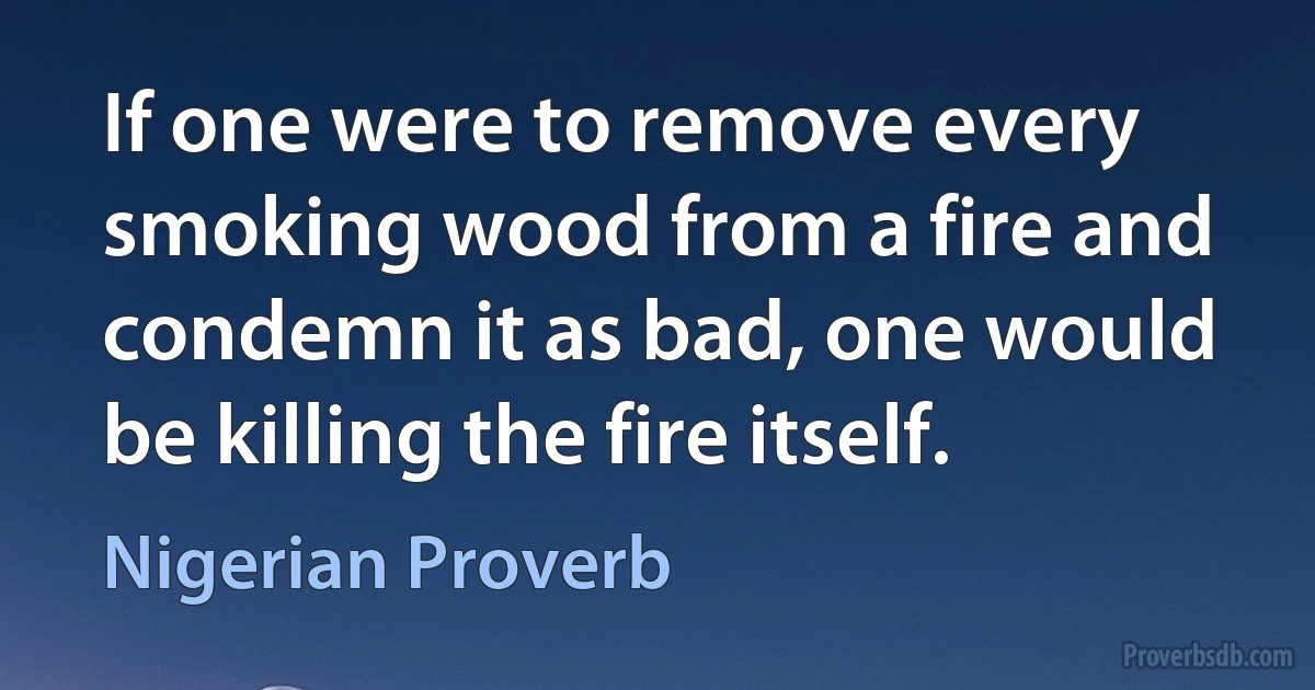 If one were to remove every smoking wood from a fire and condemn it as bad, one would be killing the fire itself. (Nigerian Proverb)