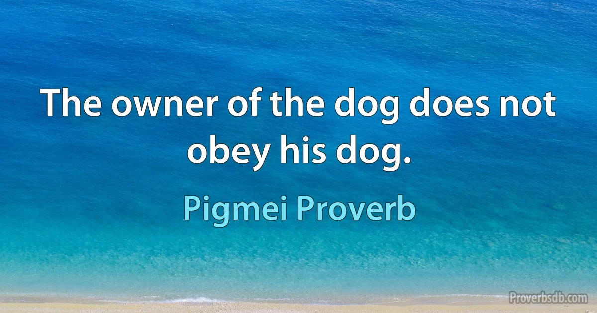 The owner of the dog does not obey his dog. (Pigmei Proverb)