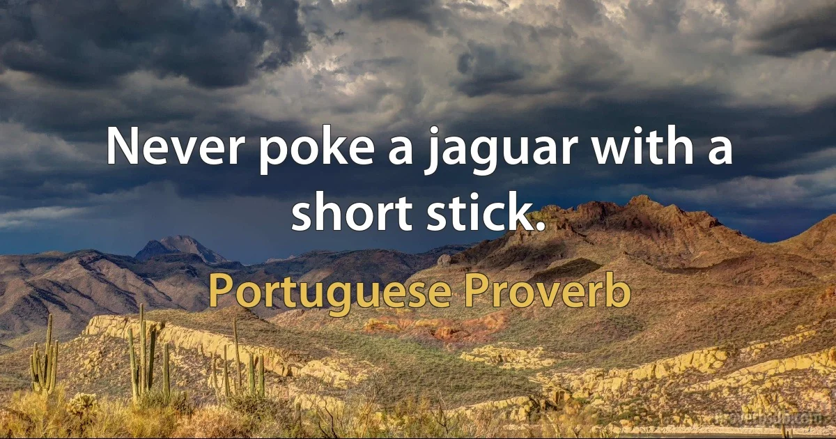 Never poke a jaguar with a short stick. (Portuguese Proverb)