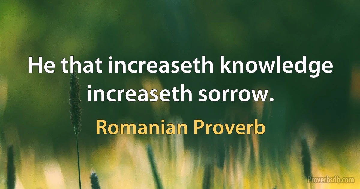 He that increaseth knowledge increaseth sorrow. (Romanian Proverb)