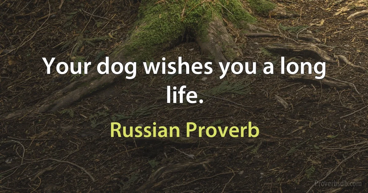 Your dog wishes you a long life. (Russian Proverb)