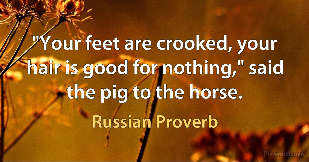 "Your feet are crooked, your hair is good for nothing," said the pig to the horse. (Russian Proverb)