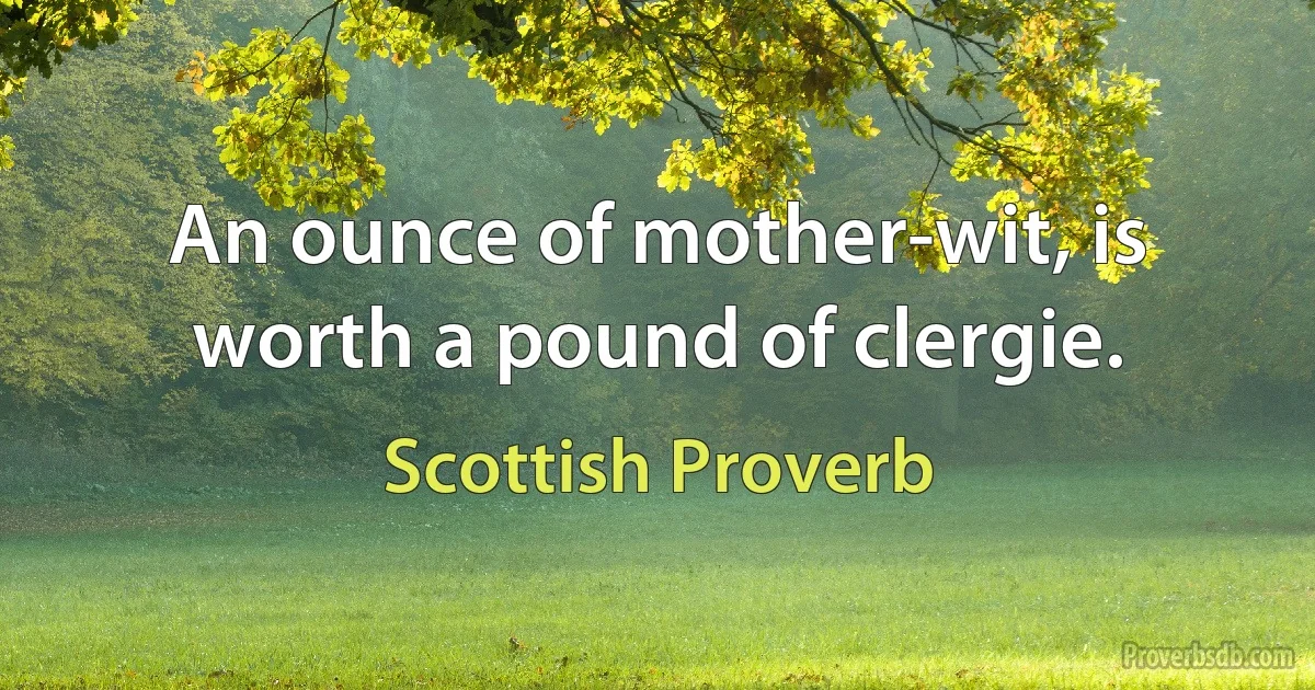 An ounce of mother-wit, is worth a pound of clergie. (Scottish Proverb)