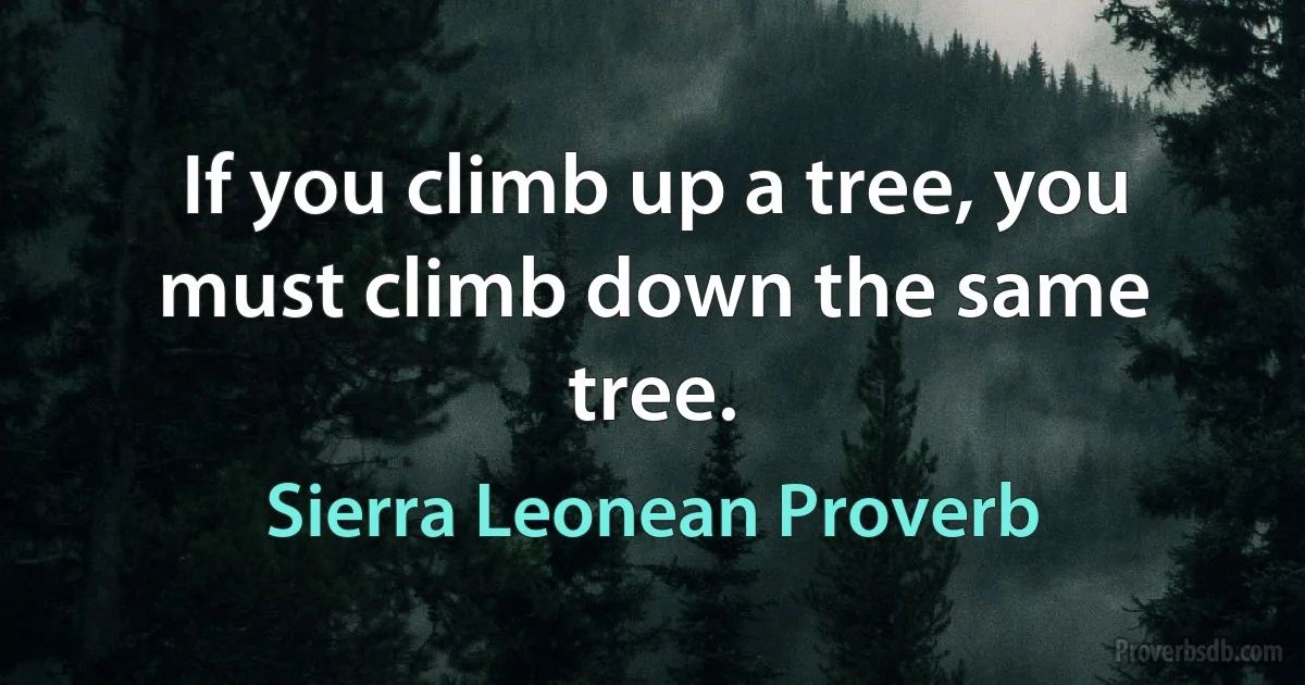 If you climb up a tree, you must climb down the same tree. (Sierra Leonean Proverb)