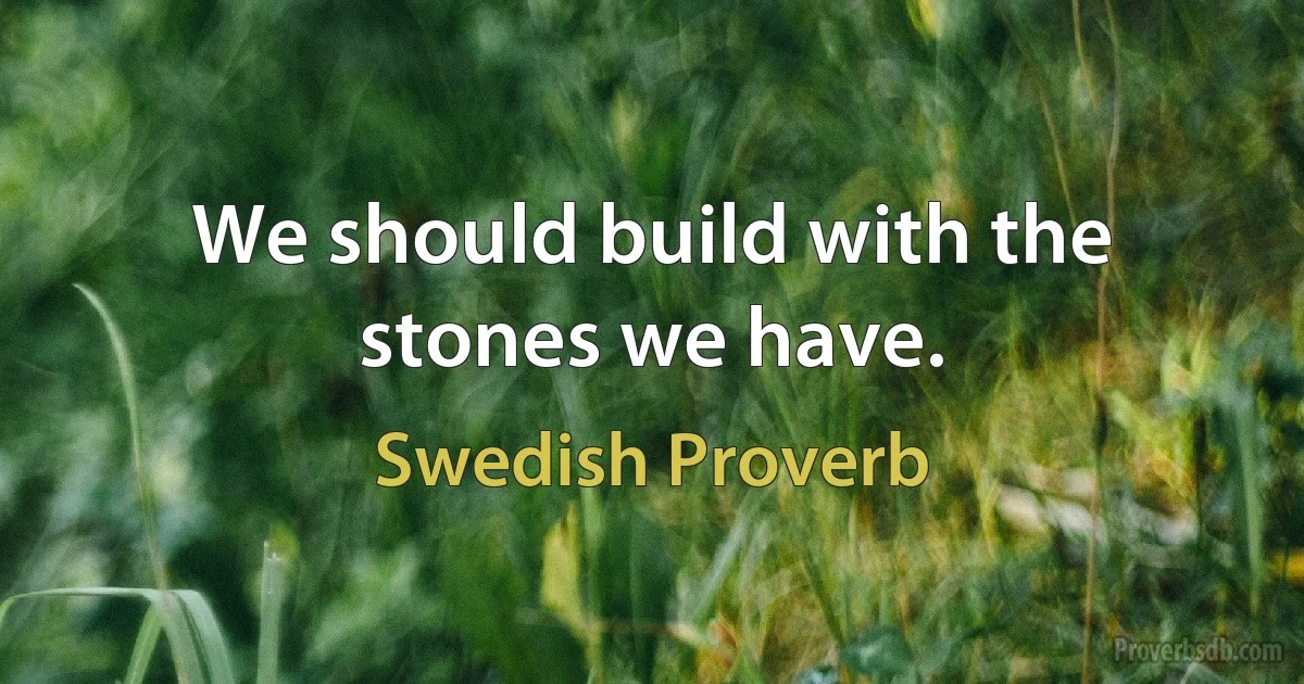 We should build with the stones we have. (Swedish Proverb)