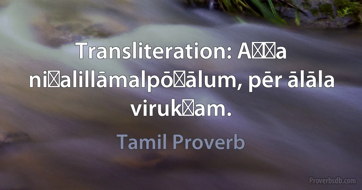 Transliteration: Aṇṭa niḻalillāmalpōṉālum, pēr ālāla virukṣam. (Tamil Proverb)