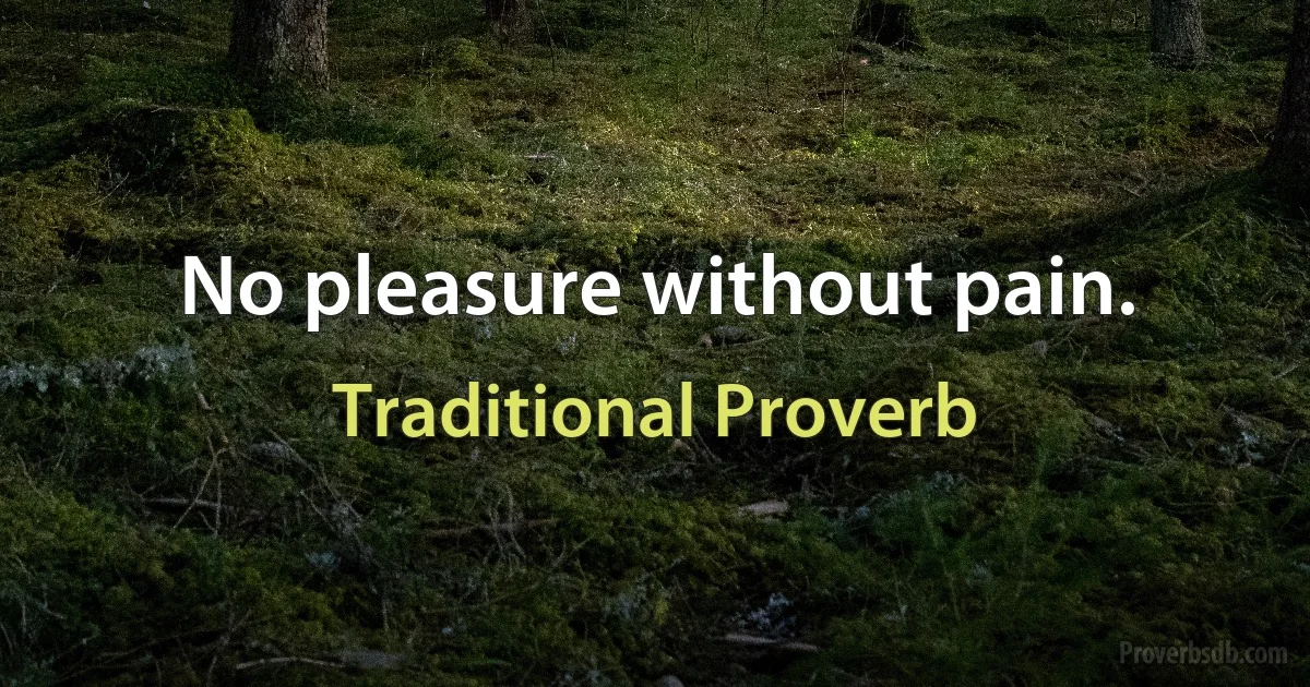 No pleasure without pain. (Traditional Proverb)