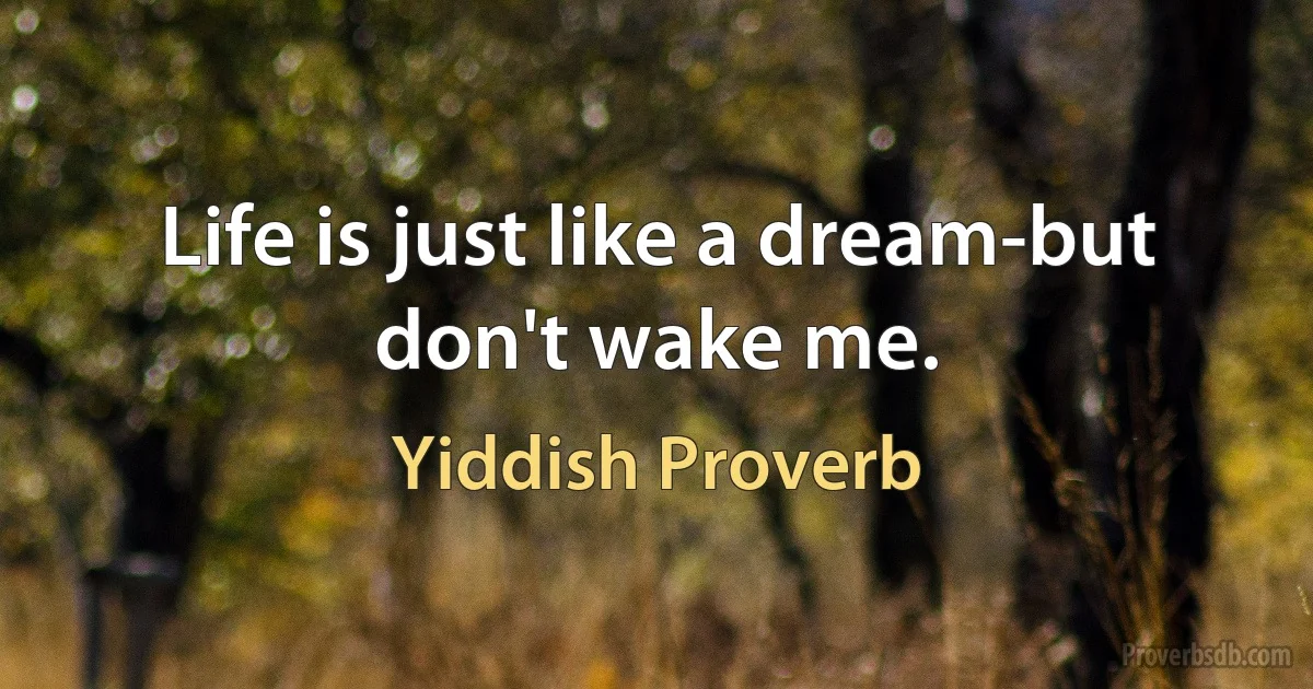 Life is just like a dream-but don't wake me. (Yiddish Proverb)