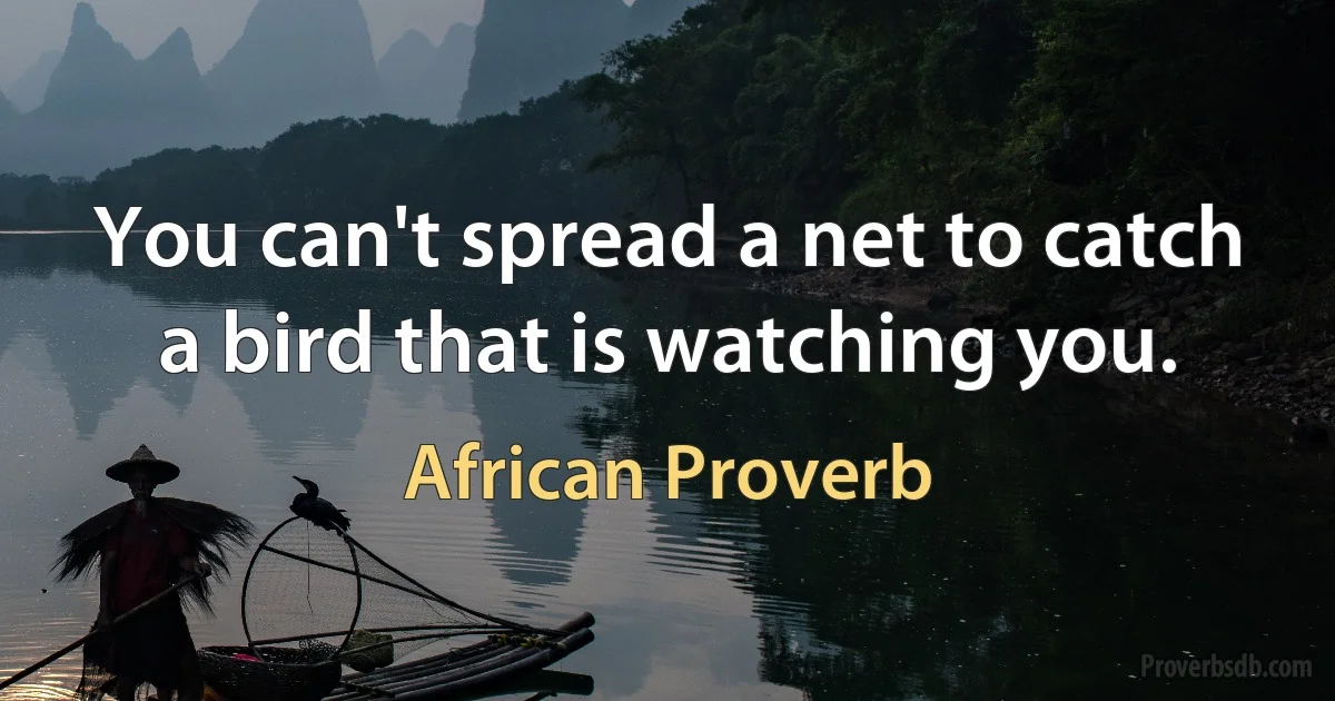 You can't spread a net to catch a bird that is watching you. (African Proverb)