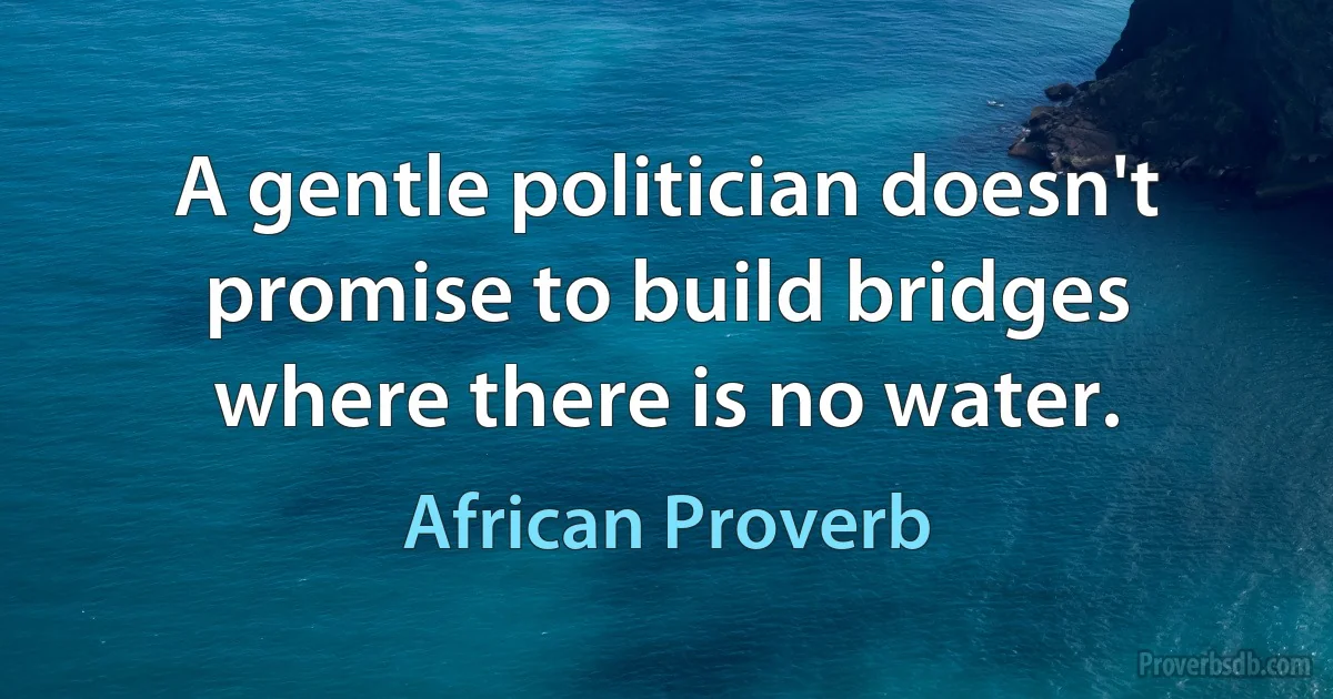 A gentle politician doesn't promise to build bridges where there is no water. (African Proverb)