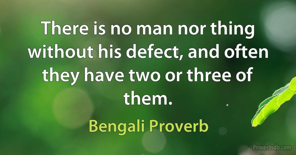 There is no man nor thing without his defect, and often they have two or three of them. (Bengali Proverb)