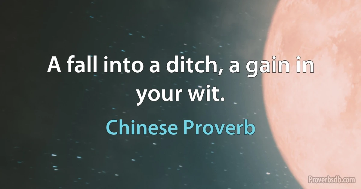 A fall into a ditch, a gain in your wit. (Chinese Proverb)