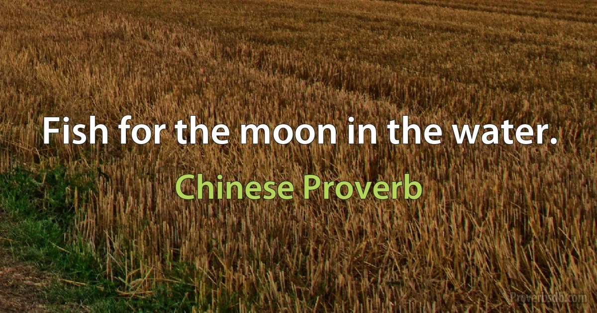 Fish for the moon in the water. (Chinese Proverb)