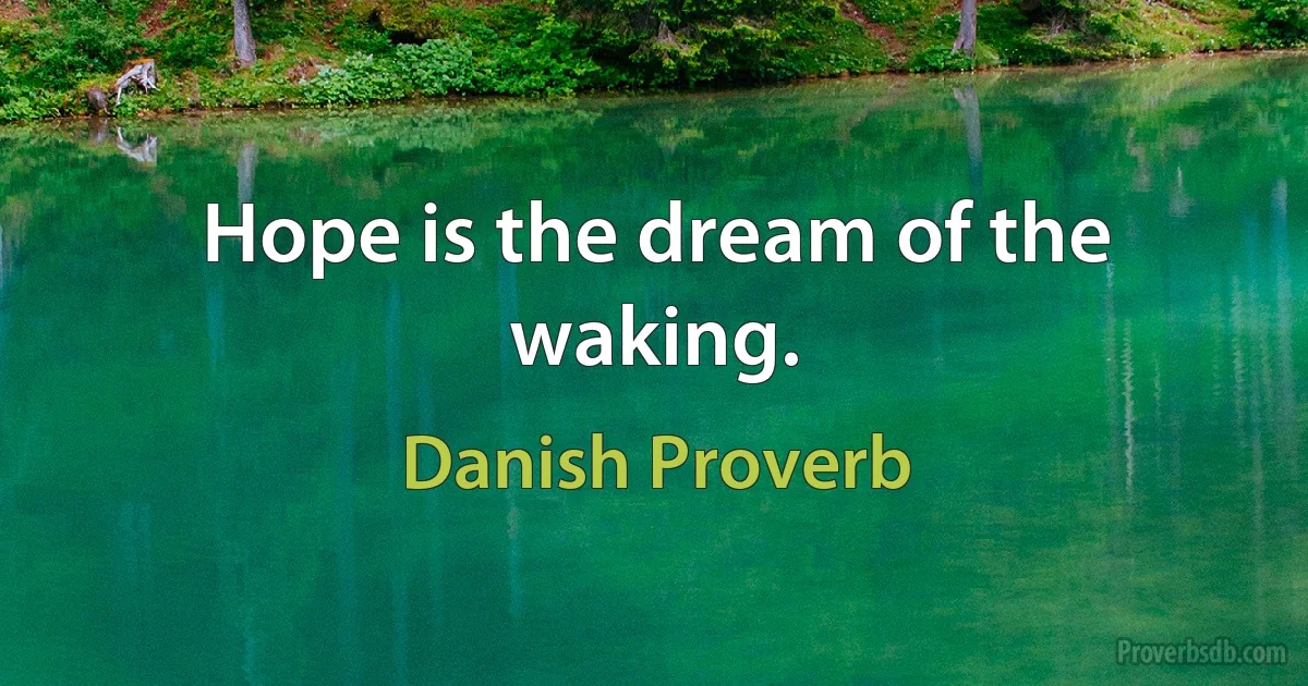 Hope is the dream of the waking. (Danish Proverb)