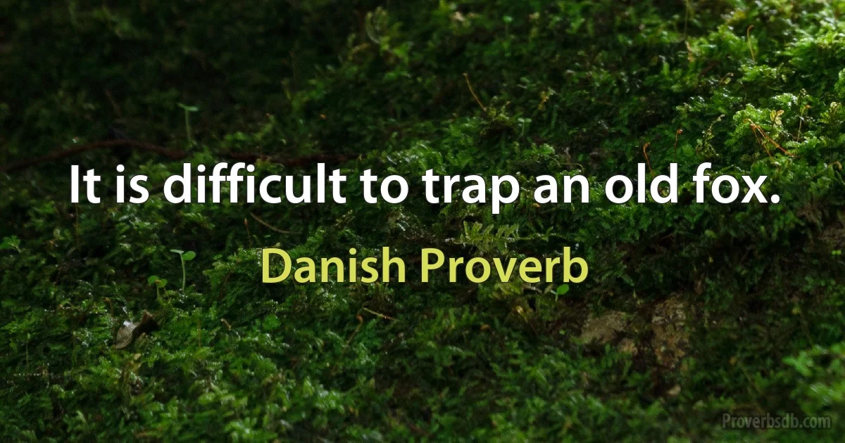 It is difficult to trap an old fox. (Danish Proverb)