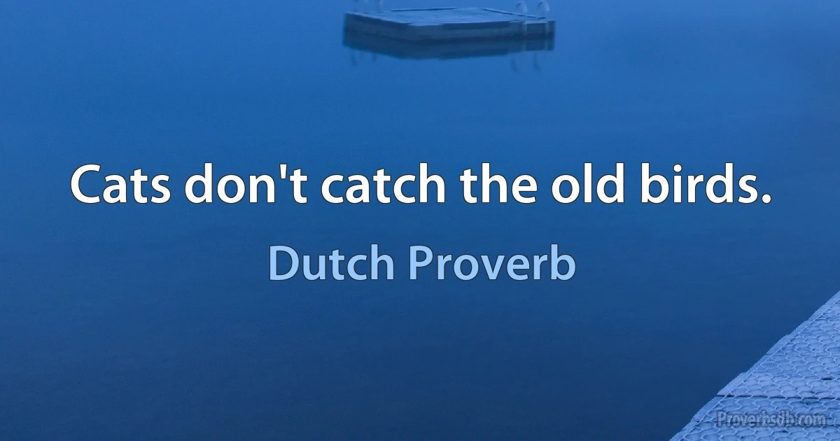 Cats don't catch the old birds. (Dutch Proverb)