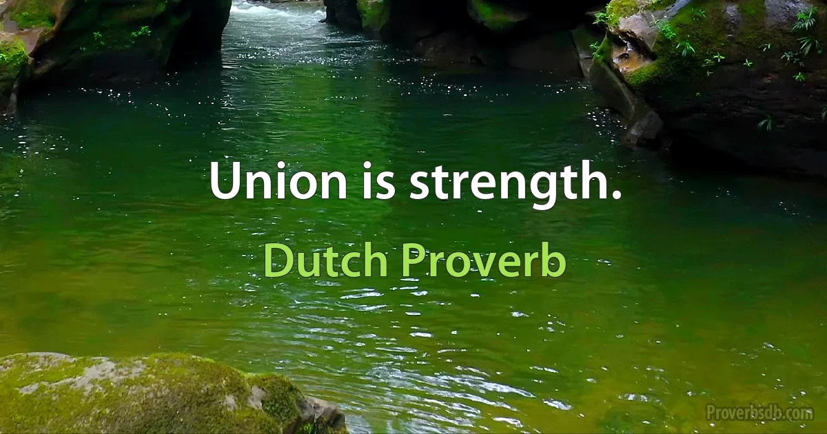 Union is strength. (Dutch Proverb)